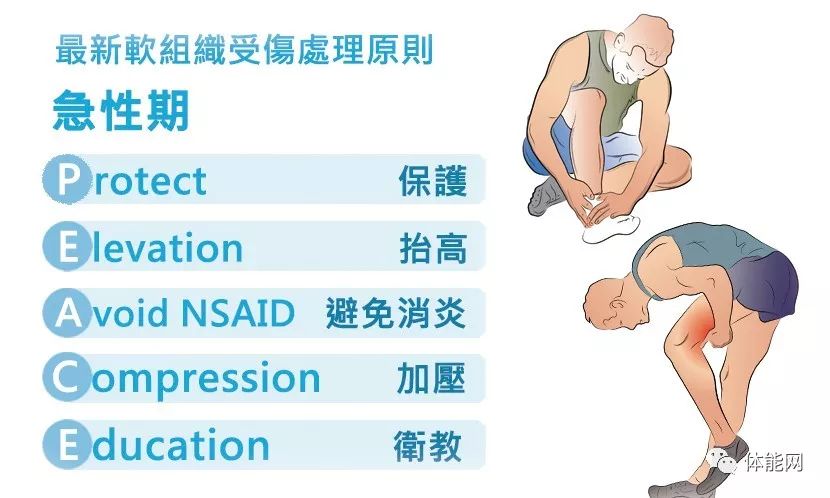 Sports Information | 体职连线